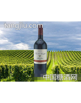 柏舟凯旋门干红葡萄酒