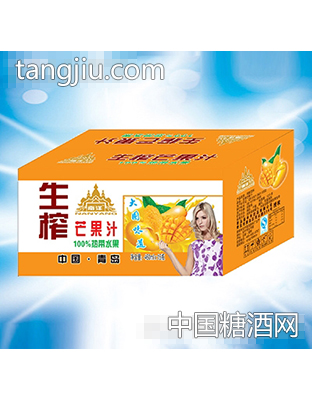 南洋生榨芒果汁460ml×15瓶