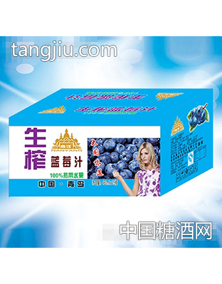 南洋生榨蓝莓汁460ml×15瓶