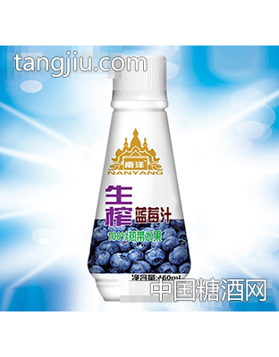 南洋生榨蓝莓汁460ml