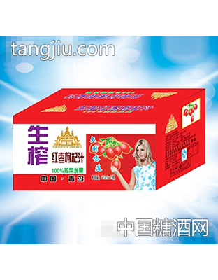 南洋生榨红枣枸杞汁汁460ml×15瓶