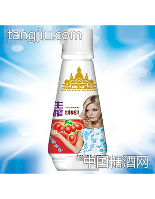 南洋生榨红枣枸杞汁汁460ml