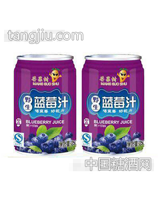 芒果树野生蓝莓汁250ml