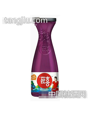 获喜乳酸菌果汁蓝莓828ml