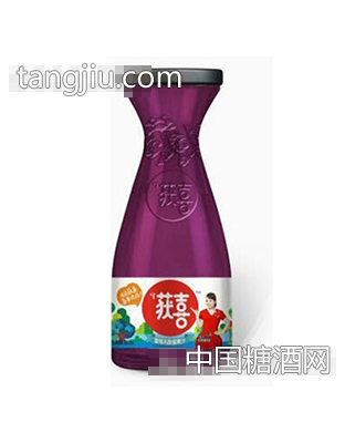 获喜乳酸菌果汁蓝莓