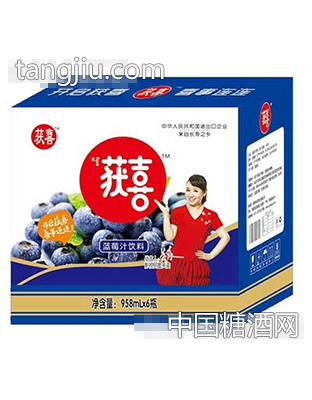 获喜蓝莓汁958mlx6瓶