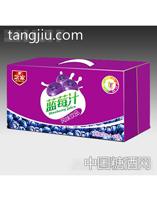 250mlx20盒念家蓝莓汁礼盒