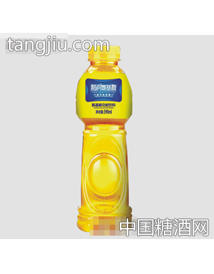 雅滨590ml氨基酸瓶装
