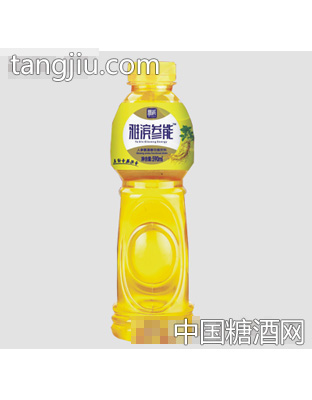 雅滨590ml参能瓶装