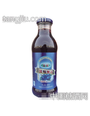 亚琦蓝莓果汁420ml