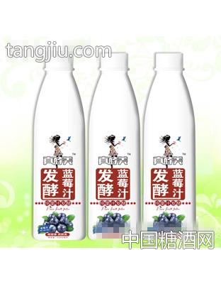真酵美发酵蓝莓汁1000毫升