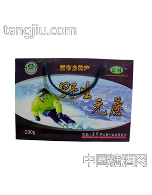 亚特滑雪压缩元蘑