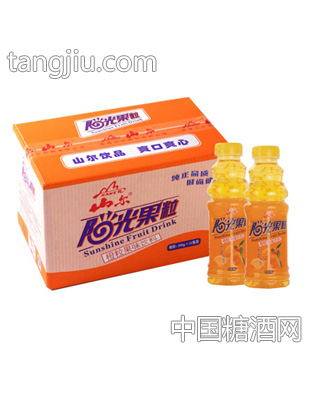 500g×15瓶阳光果粒菠萝粒果味饮料