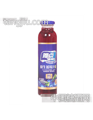 雅点蓝莓果汁310ml