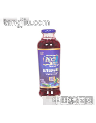 雅点蓝莓果汁410ml