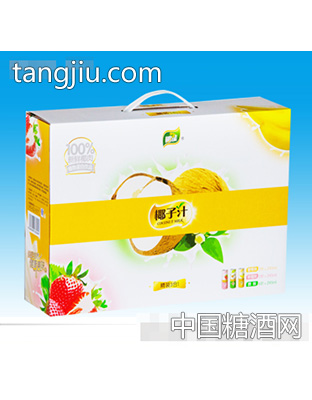 椰能椰子汁听装礼盒