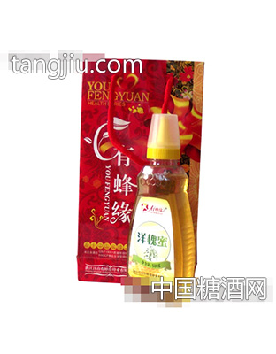 洋槐蜂蜜礼盒装