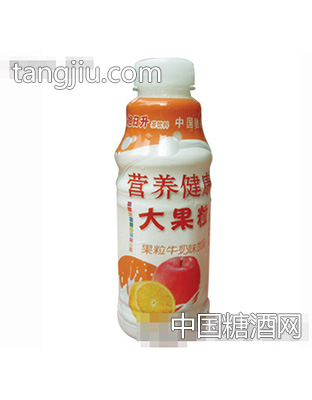 旭日升精品营养健康大果粒