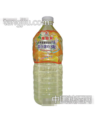 旭日升2L阳光椰果