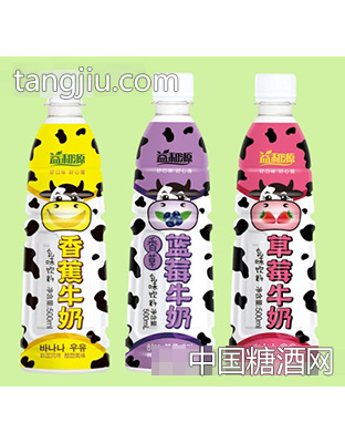 益和源500ml乳味饮料
