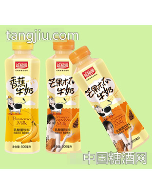 益和源500ml乳酸菌乳味饮料