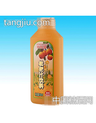 450ml怡和堂枇杷汁(15瓶装)