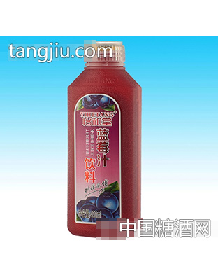 450ml怡和堂蓝莓汁(15瓶装)