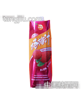依禄达卡依之杨梅汁1L装