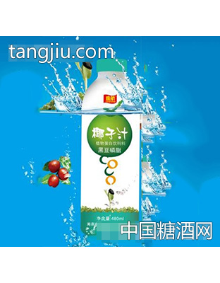 鹰航椰子汁480ML