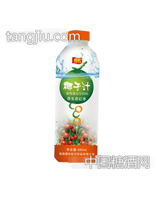 鹰航红枣椰子汁480ML