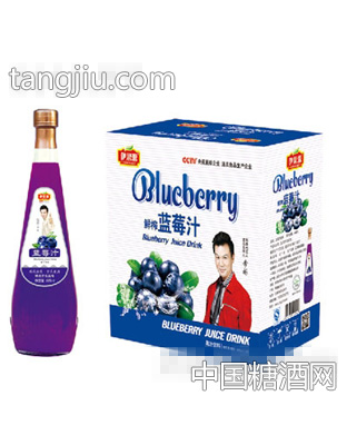 伊思源鲜榨蓝莓汁饮料828mlx6瓶