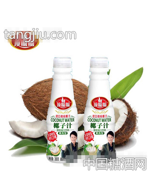 顶呱呱椰子汁380ml