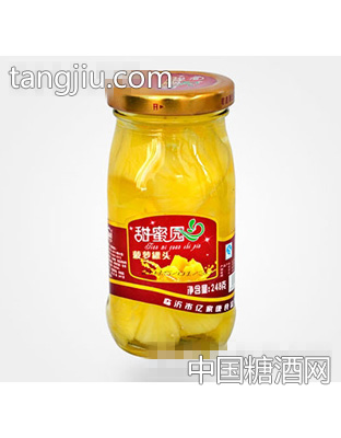 248克菠萝水果罐头