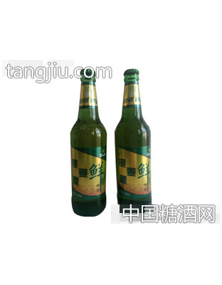银稞麦鲜500ml啤酒
