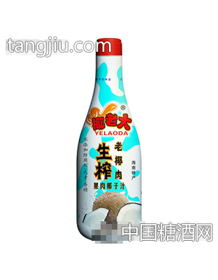 1.025kg果肉椰子汁