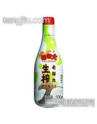 500g果肉椰子汁
