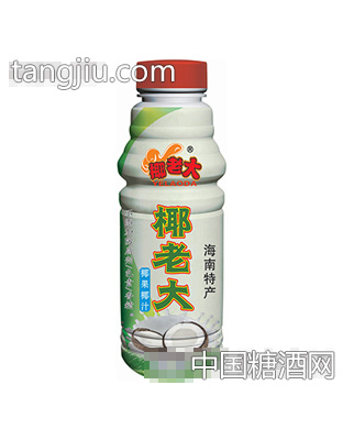 500g塑瓶椰汁