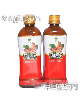 恒丰真果酸角汁饮料450ml