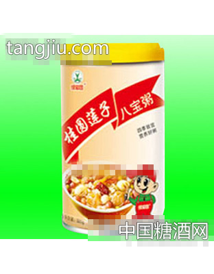 320g绿知园桂圆莲子八宝粥