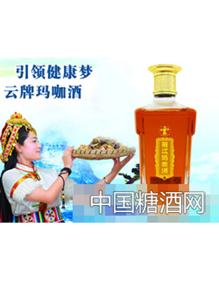 云牌丽江玛咖酒·A9（海报）