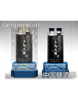 太极之乡陈酿10
