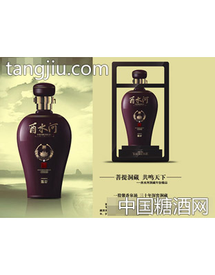 菩提洞藏30