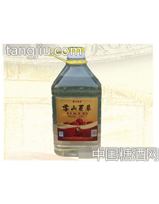 雪山百草大红枣酒1.7L