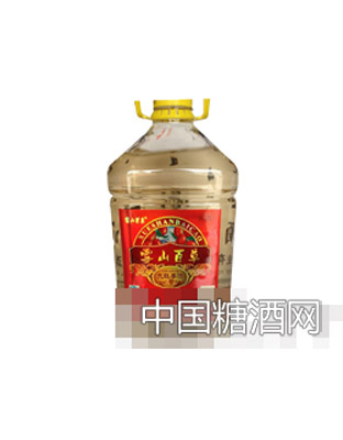 雪山百草大红枣酒 4.5L