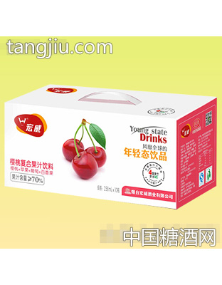 宏威樱桃复合果汁饮料258ml×10瓶