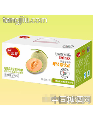 宏威哈密瓜复合果汁饮料258ml×10瓶