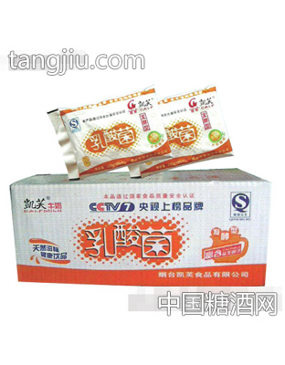 发酵型乳酸菌