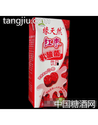 缘天然红枣乳酸菌饮品