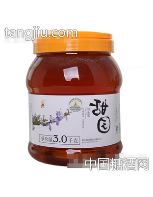甜园荆条蜜3kg