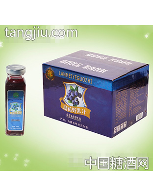 大源野蓝莓野果汁饮料汁小方瓶330mlx12瓶